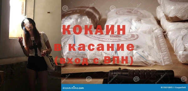 шишки Пестово