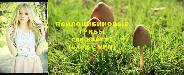 соль ск Чегем