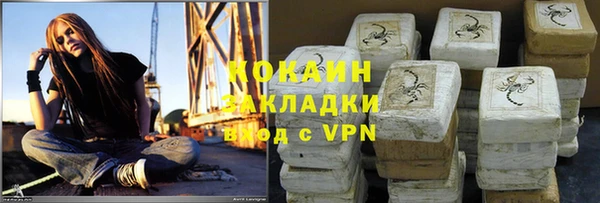 шишки Пестово