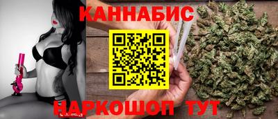 индика Будённовск