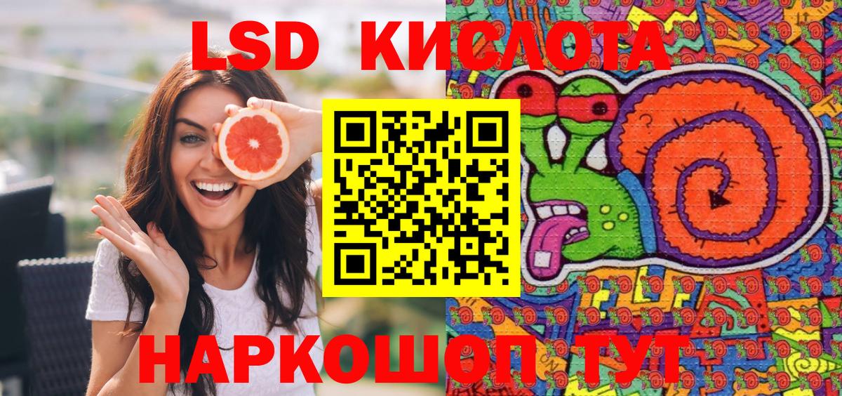 A PVP Губкинский