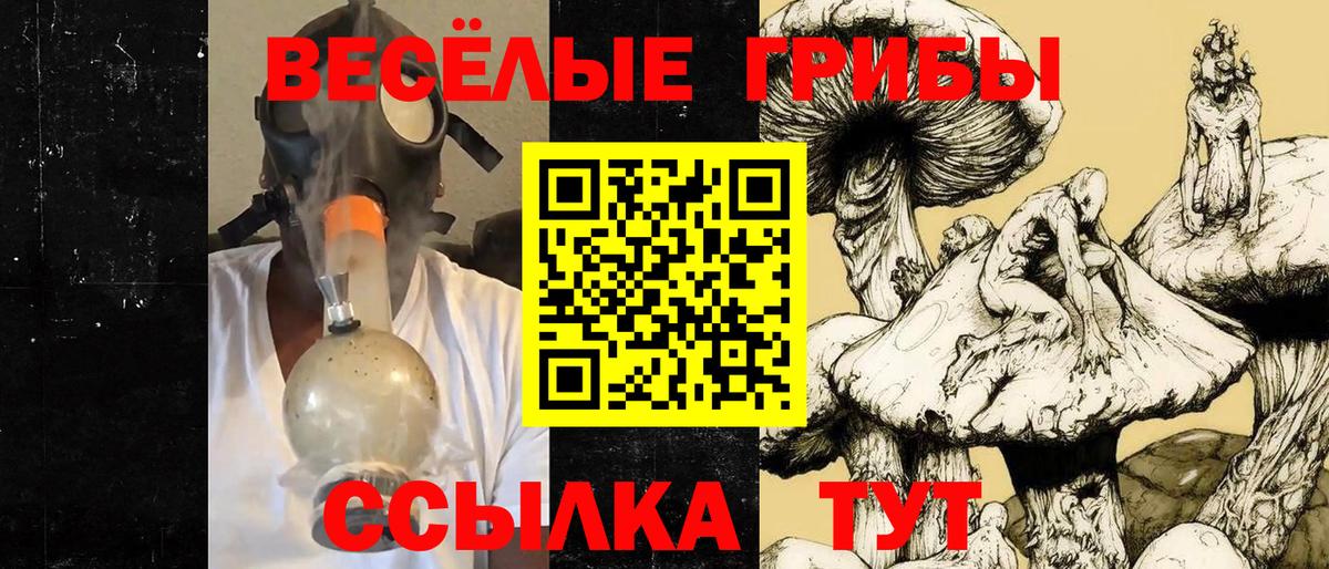 Галлюциногенные грибы MAGIC MUSHROOMS  Губкинский 