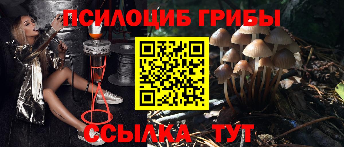 Псилоцибиновые грибы Magic Shrooms Губкинский