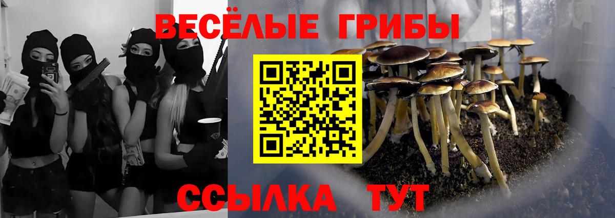 Губкинский  Галлюциногенные грибы MAGIC MUSHROOMS  Вход с VPN 